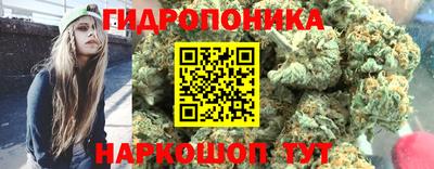 спайс Малгобек