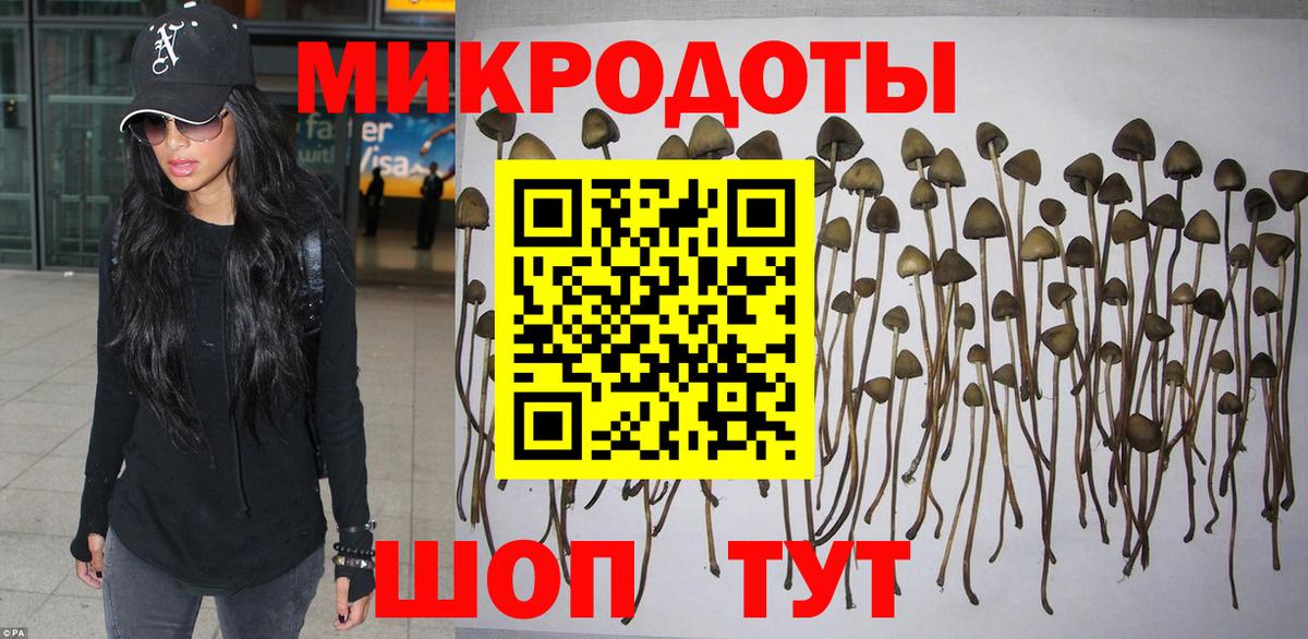 Галлюциногенные грибы MAGIC MUSHROOMS  Вход с VPN  Стрежевой 